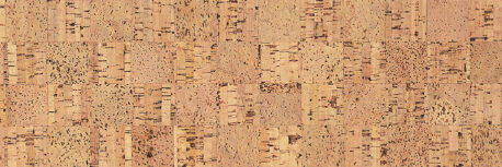 Cork Quadro_doga